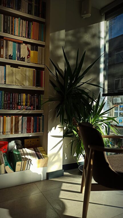 Tips for Creating a Cozy Reading Nook in Your Home