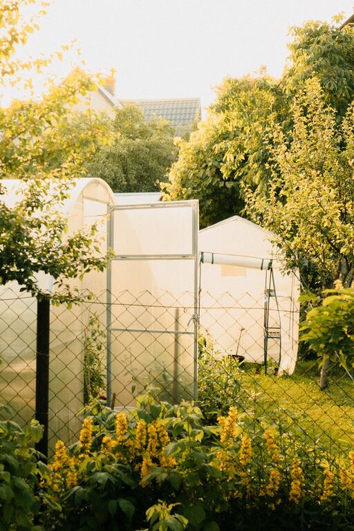 Tips for Creating a Sustainable Home Garden Throughout the Year